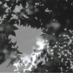 http://zzw7iycjxveq6nqo.lightizm.com/files/gimgs/th-76_71_Nostalgia2_v2.jpg