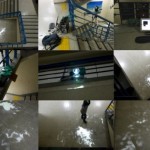 http://zzw7iycjxveq6nqo.lightizm.com/files/gimgs/th-76_71_Nostalgia4_v2.jpg